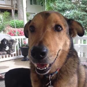 Meet your Posher, Doris